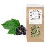 CASSIS Bio - Ribes nigrum (feuille)