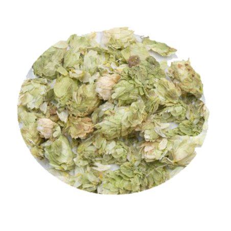 HOUBLON Bio - Humulus lupulus (cone)