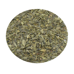 THE VERT SENCHA Bio -...