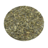 THE VERT SENCHA Bio - Camellia sinensis (feuille)