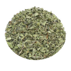 VERVEINE ODORANTE - Verbena...