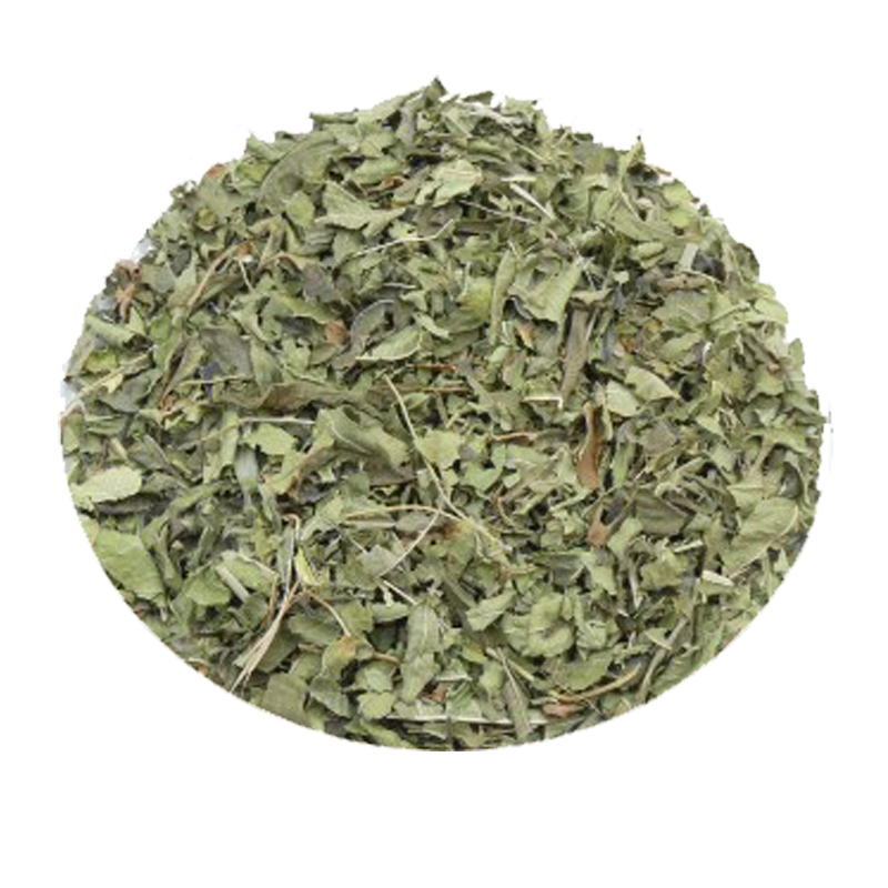 VERVEINE ODORANTE - Verbena odorata (feuilles)