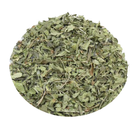 VERVEINE ODORANTE - Verbena odorata (feuilles)