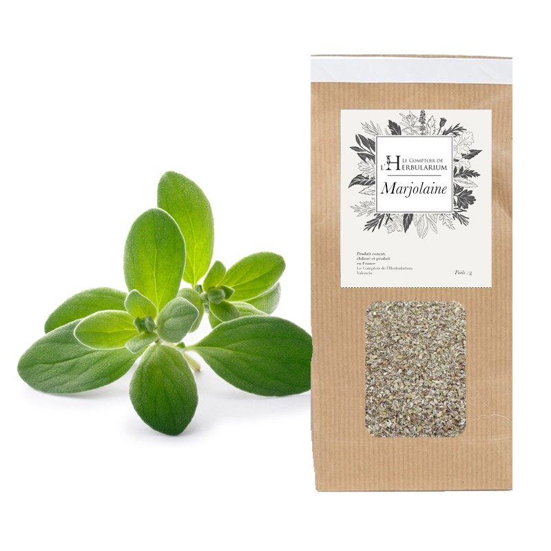 10 Graines De Marjolaine Annuelle (Majorana) - Herbe Aromatique Pour Cuisine - Semis Facile, Culture En Pot Ou Jardin