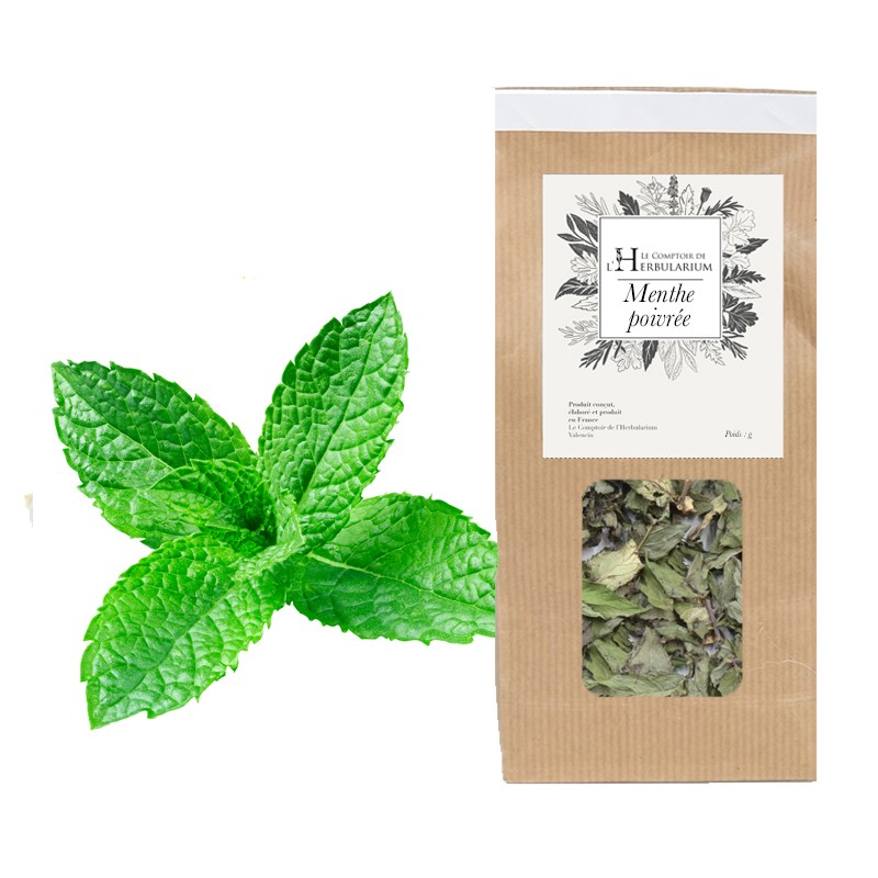 MENTHE POIVREE France Bio - Mentha x piperita (feuille)