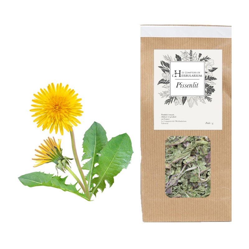 PISSENLIT France Bio - Taraxacum officinale (partie aerienne)