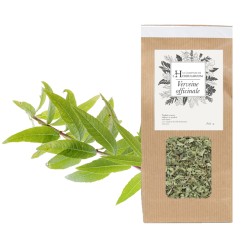VERVEINE OFFICINALE France Bio - Verbena officinalis (partie aerienne)