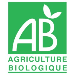 ALCHEMILLE Bio - Alchemilla vulgaris (partie aerienne)